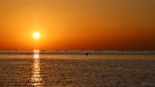 2025 was third hottest year on record: EU, US experts