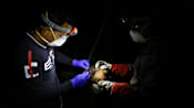 Singapore monitoring Nipah virus case reported in Bangladesh; no cases here