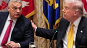 Hungary PM to attend Trump's 'Board of Peace' inaugural meeting